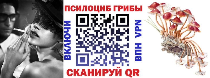 Псилоцибиновые грибы прущие грибы  Купить где  Домодедово 